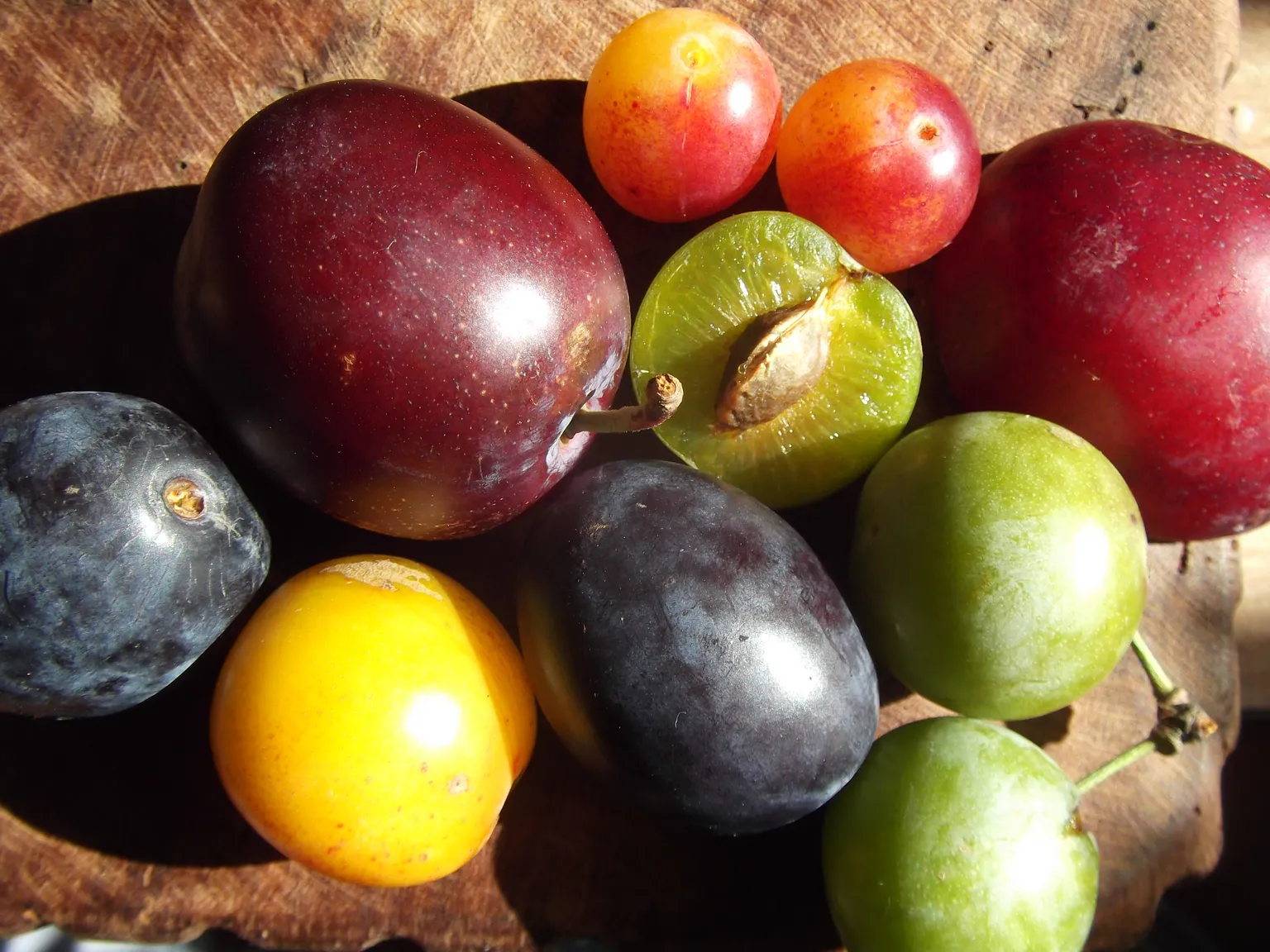 Obstvielfalt