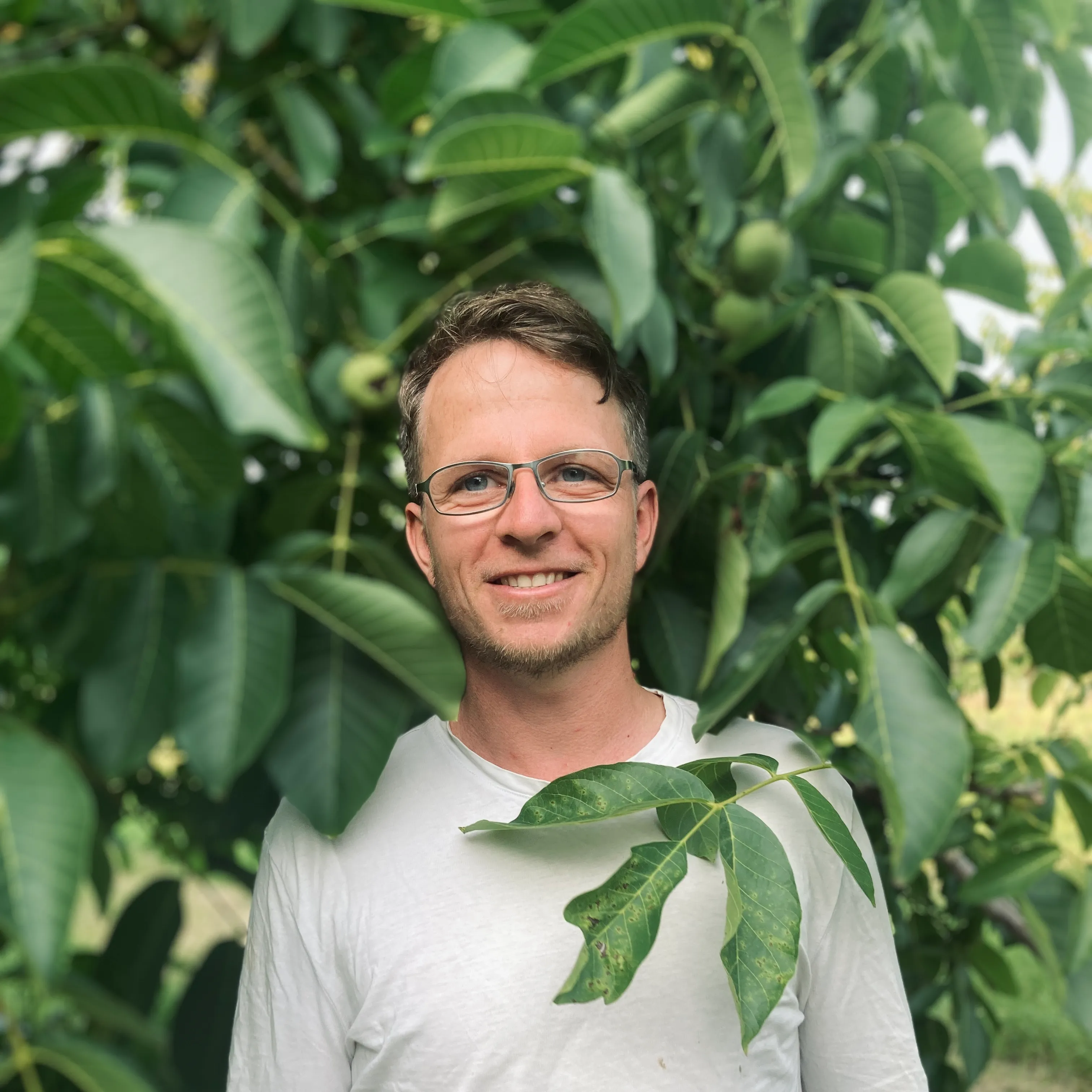 Konstantin Schroth, der Obstbäumerich